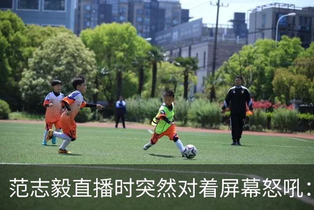 范志毅直播时突然对着屏幕怒吼：你们这帮人懂个球！董路带的这帮12岁孩子，在意大利踢了7场，全胜夺冠，点球干掉英超埃弗顿梯队，创造了亚洲球队的历史。回国后，等来的不是鲜花，而是铺天盖地的“业余炒作”、“博热度”。有人扒出董路九年自掏腰包5800万搞青训，不收钱、不签合同，就带孩子去海外踢90...